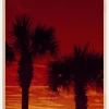 Red Palms Plakat (21x29.7 cm (A4))