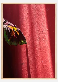 Red wall Plakat (21x29.7 cm (A4))