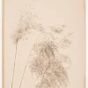 Reed Grass Plakat (21x29.7 cm (A4))