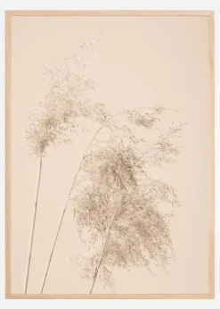 Reed Grass Plakat (21x29.7 cm (A4))