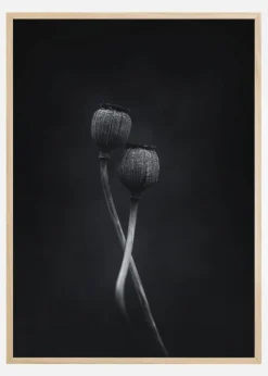 Remains Of Summer Plakat (21x29.7 cm (A4))