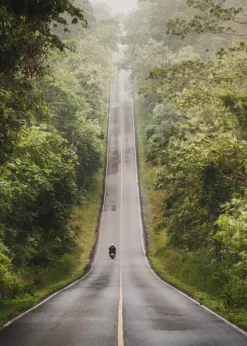 Road Plakat (21x29.7 cm (A4))