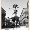 Rodeo drive Plakat (21x29.7 cm (A4))