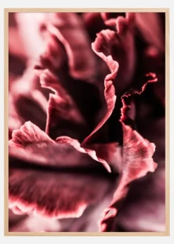 Rose petals Plakat (21x29.7 cm (A4))