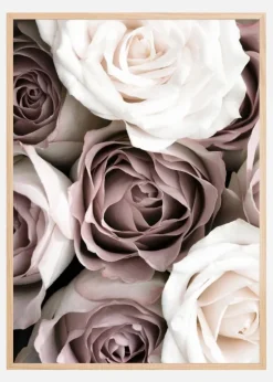 Roses Plakat (21x29.7 cm (A4))