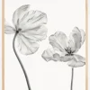 Same tulip front and backview Plakat (21x29.7 cm (A4))
