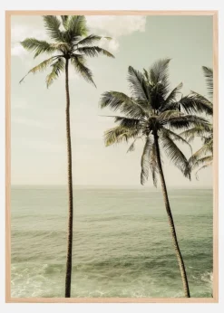 Sea Breeze Plakat (21x29.7 cm (A4))