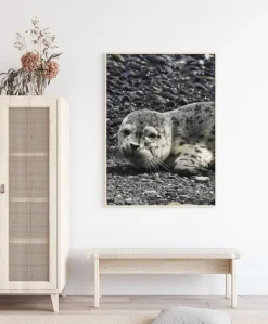 Seel Plakat (21x29.7 cm (A4))