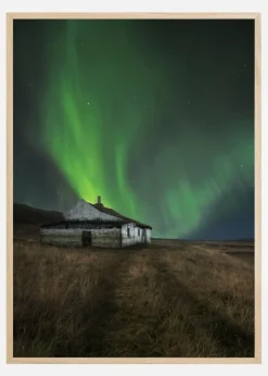 Selhagi Plakat (21x29.7 cm (A4))