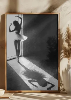 Shadow Dance Plakat (21x29.7 cm (A4))