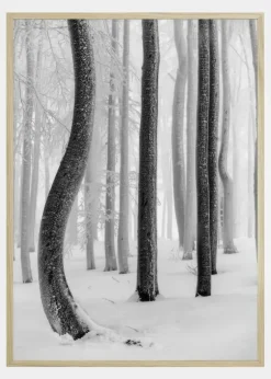 Shapes Plakat (21x29.7 cm (A4))