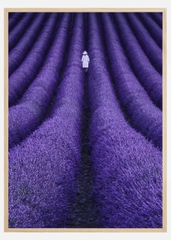 SHE Plakat (21x29.7 cm (A4))