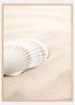 Shell Plakat (21x29.7 cm (A4))