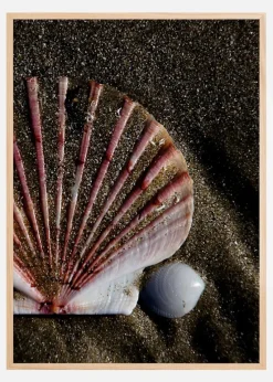 Shell Plakat (21x29.7 cm (A4))