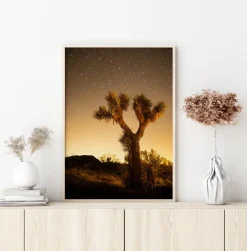 Shooting Stars Plakat (21x29.7 cm (A4))