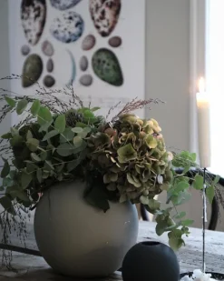 Skole - Fugleæg Plakat (21x29.7 cm (A4))