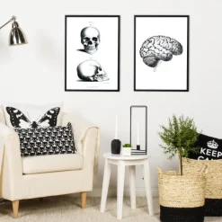 Skole - Hjernens dele Plakat (21x29.7 cm (A4))