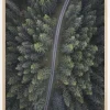Small road through the forest Plakat (21x29.7 cm (A4))