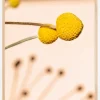 Small Yellow Flowers Plakat (21x29.7 cm (A4))