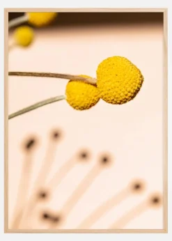 Small Yellow Flowers Plakat (21x29.7 cm (A4))