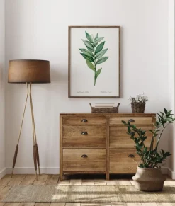 Smilacina Stellata Plakat (21x29.7 cm (A4))