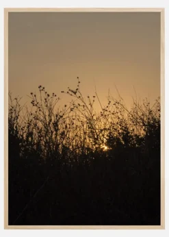 Sneak Peak On Sun Plakat (21x29.7 cm (A4))