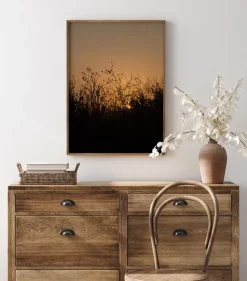 Sneak Peak On Sun Plakat (21x29.7 cm (A4))