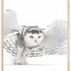 Snowy Owl Jazz Wings Plakat (21x29.7 cm (A4))
