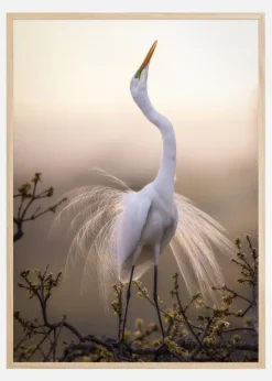 Solo Dance Plakat (21x29.7 cm (A4))