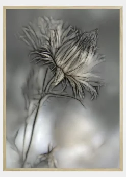 Source Of Life Plakat (21x29.7 cm (A4))