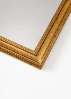 Spejl Alice Guld 48x88 cm