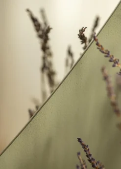 Spejl Biface 60x80 cm