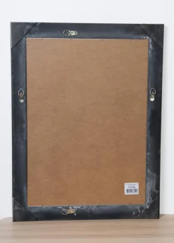 Spejl Bologna Sølv 62x82 cm