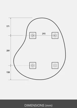 Spejl Cashew 50x60 cm