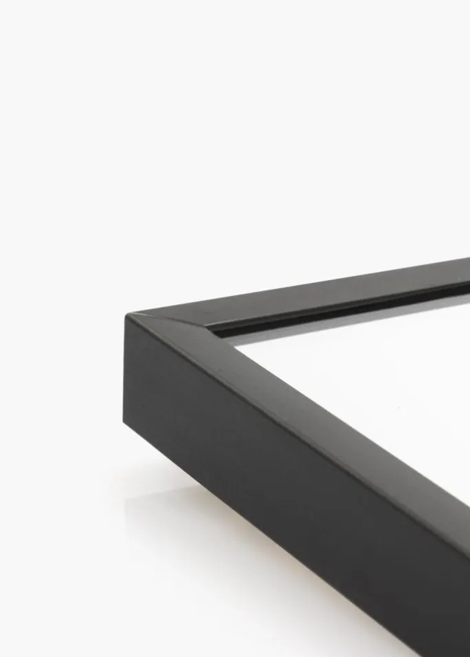 Spejl Chicago Mat Sort 31x41 cm