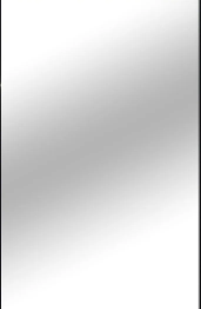 Spejl Narrow Sort 35,5x50,5 cm