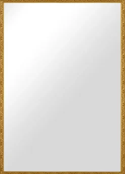 Spejl Nostalgia Guld 55x75 cm