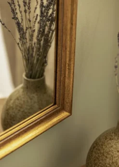 Spejl Rokoko Guld 70x100 cm