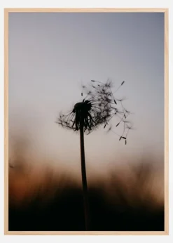 Spread the seeds Plakat (21x29.7 cm (A4))