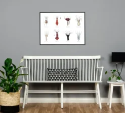 Squids Plakat (21x29.7 cm (A4))