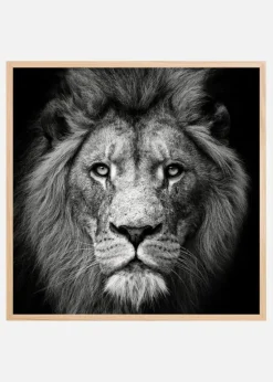 Stare Me Down #3 Plakat (30x30 cm)