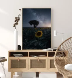 Starsflowers Plakat (21x29.7 cm (A4))