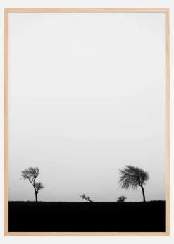 Storm Plakat (21x29.7 cm (A4))