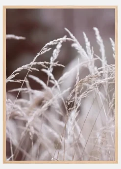 Straws in a field Plakat (21x29.7 cm (A4))