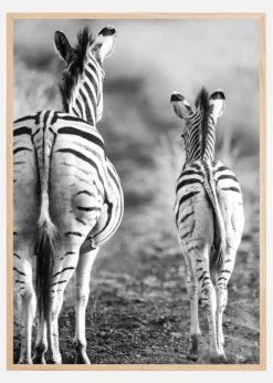 Striped Horse Back Side Plakat (21x29.7 cm (A4))