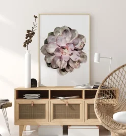 Succulent Plakat (21x29.7 cm (A4))