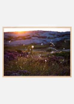 Summer evening on the rocks Plakat (21x29.7 cm (A4))