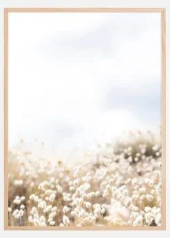 Summer field Plakat (21x29.7 cm (A4))