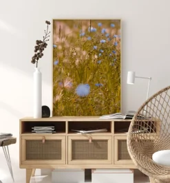 Summer Fields I Plakat (21x29.7 cm (A4))