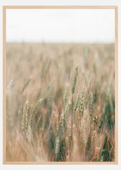 Summer Fields Plakat (21x29.7 cm (A4))